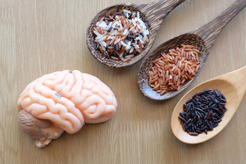variety of rice and human brain anatomy model with healthy concept