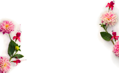 Frame of dahlia flowers and fuchsia triphylla on a white background with space for text. Top view,...