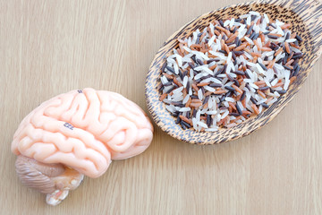 variety of rice and human brain anatomy model with healthy concept