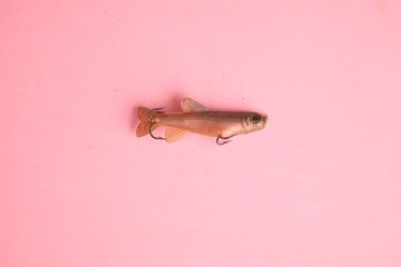 Saragossa Spain. September 18, 2019 fishing lures