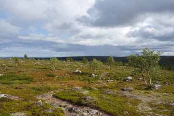 Fototapeta na wymiar Kevo National Park in Finland