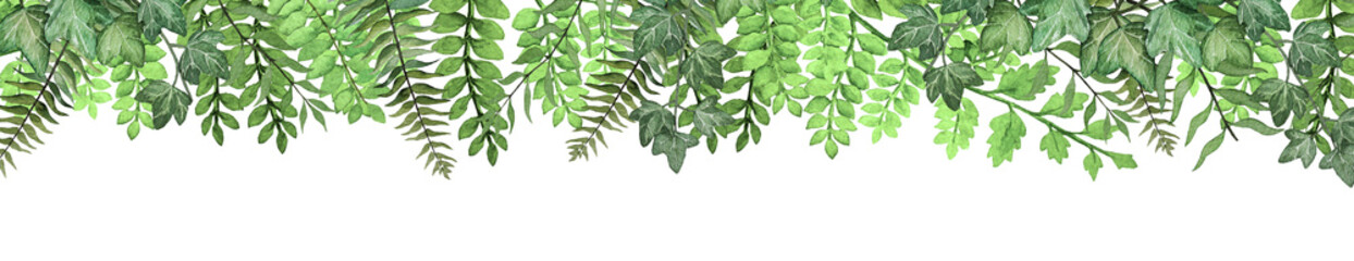 Long banner with hand drawn watercolor tropical fern leaves