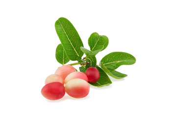 Mango yawning lime booed on white background