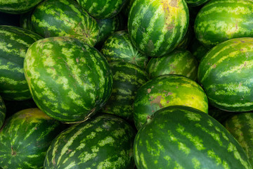 Striped fresh ripe green watermelon background ar farmer's market or grocery store. Harvest illustration photo.