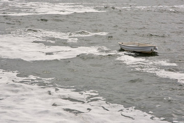 Resting in the Storm © RHC Photography