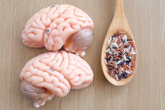 variety of rice and human brain anatomy model