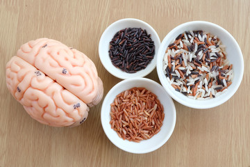 variety of rice and human brain anatomy model
