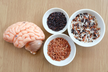 variety of rice and human brain anatomy model