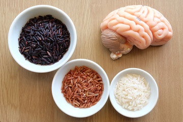 variety of rice and human brain anatomy model