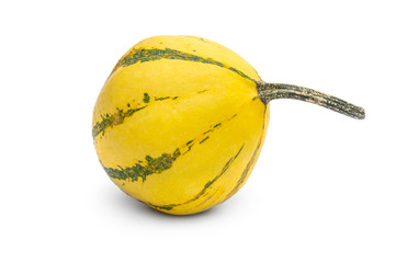 Small beautiful pumpkin on white background.