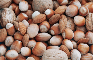 close up of nuts