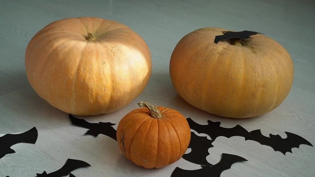 Three pumpkins lie on the floor and paper bat fall on them.