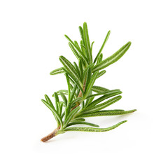 Fresh Rosemary isolated over a white background