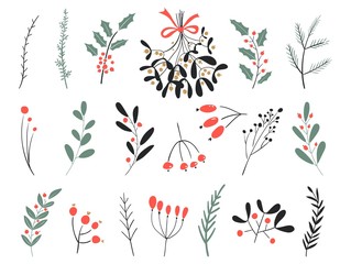 Hand drawn vector winter elements. Christmas floral. Christmas branches. Perfect for invitations, greeting cards, posters, prints. Winter branches and leaves. Design objects.