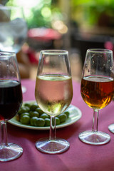 Sherry wine tasting, selection of different jerez fortified wines from dry to very sweet, Jerez de la Frontera, Andalusia, Spain