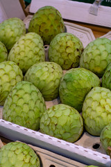 Tropical fruit cherimoya, ice cream fruit or custard apple
