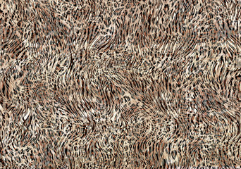 leopard skin pattern