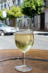 Sherry wine tasting, dry fino, manzanilla or palomino jerez fortified wine in glasses, Jerez de la Frontera, Andalusia, Spain