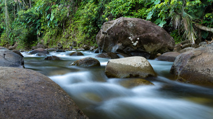 Naklejka na ściany i meble Tropical stream in the middle of the jungle.