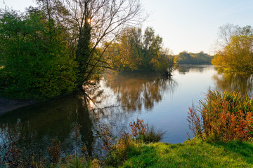 Low early morning autumn sunlight shines between the bushes and trees that surround a small calm lake.
