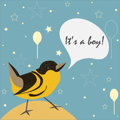 Baby Boy Birth announcement. Cute Bird announces the arrival of a baby boy