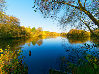 Obraz premium On a clear bright morning the vibrant autumnal colours of trees and bushes are reflected in the still waters of a small lake.