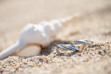 貝殻とペアリング