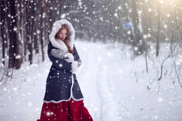 Fototapeta na wymiar Beautiful girl in winter forest. Fairy tale.