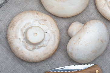 Freshly sliced mushrooms (mushrooms, cut foot, Bisporus agaricus) raw (uncooked). Wooden background, fabric with homemade and rustic look.