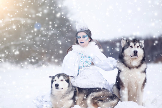 Snow-queen. Fairy tale girl with Huskies or Malamute.