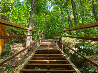 Wooden stair in the summer forest. Travel concept