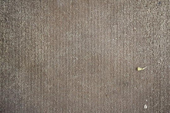 Texture Ground Floor Plotted
