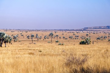 Savanne bei Ilakaka