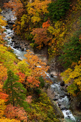 The Mount Hakkoda in autumn 