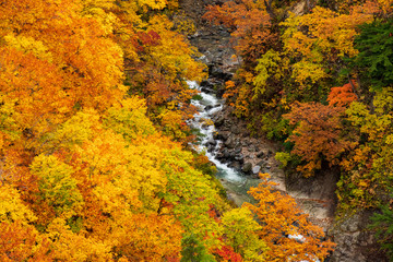 The Mount Hakkoda in autumn 