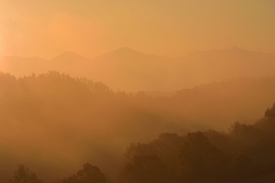 美瑛　三栄の丘と朝霧