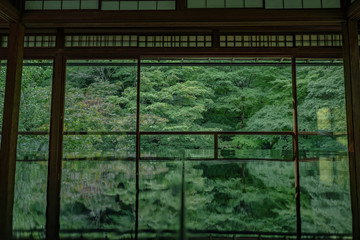 Naklejka premium 京都 瑠璃光院 日本庭園 紅葉 数寄屋造り 観光 写真素材 八瀬 お抹茶 お茶室 ライトアップ