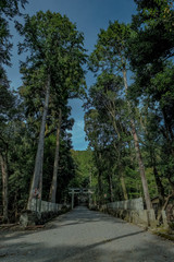 京都　瑠璃光院　日本庭園　紅葉　数寄屋造り　観光　写真素材　八瀬　お抹茶　お茶室　ライトアップ