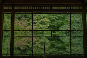 Naklejka premium 京都 瑠璃光院 日本庭園 紅葉 数寄屋造り 観光 写真素材 八瀬 お抹茶 お茶室 ライトアップ