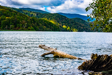 Fototapeta na wymiar Detail of wood and clear water in autumn, National Park Plitvice Lakes, Croatia