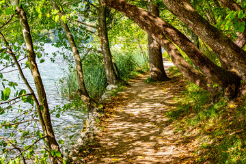 Obraz premium Forest path in National Park Plitvice Lakes in autumn, Croatia