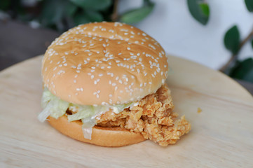 chicken burger or hamburger, burger