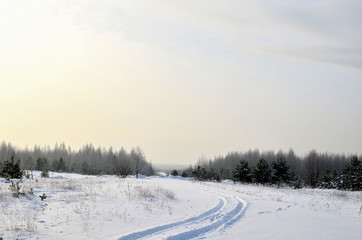 Snowy Road in Winter Forest. Awesome winter landscape. A snow-covered path among the trees in the wild forest. Forest in the snow.