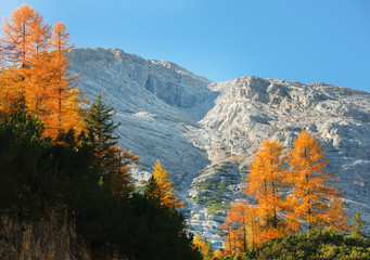 Autumn landscape in Val di Fanes, Dolomites, Italy, Europe