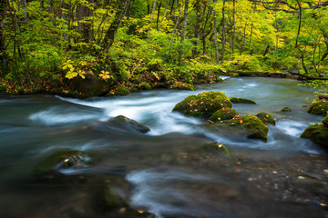 The Oirase stream in Aomori, Japan