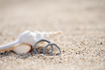 貝殻とペアリング