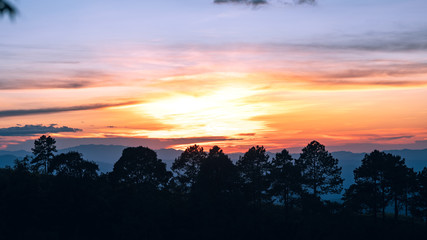 sunset and twilight light in the forest on the mountain