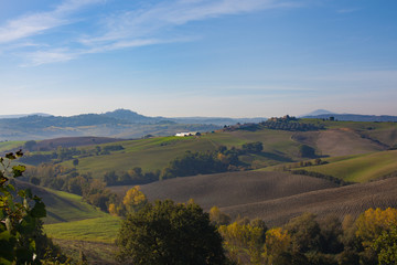Fototapeta premium landscape rolling green hills of Italy in October blue bright sky 