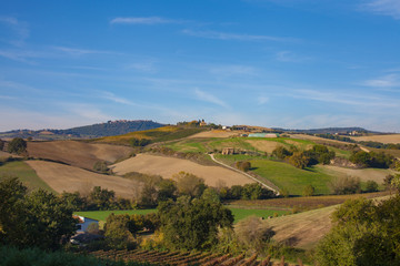 Fototapeta premium landscape of Italy wine country hills and vivid blue sky