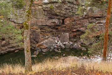 Gray trees in moss on the riverbed of the Vuoksa River, Imatra, Finland